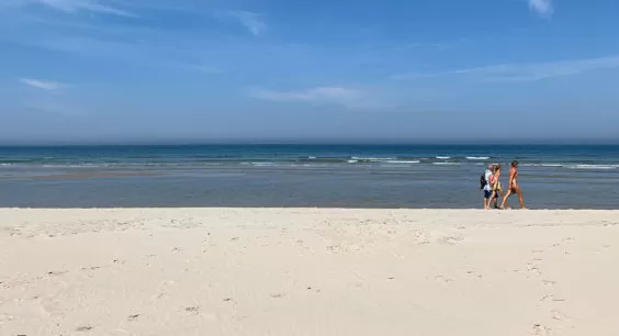 Der Strand von Terschelling.